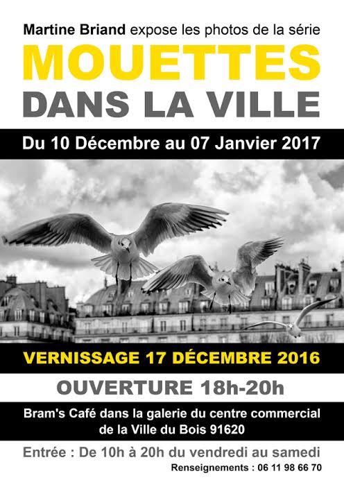 2 flyer mouette dans la ville